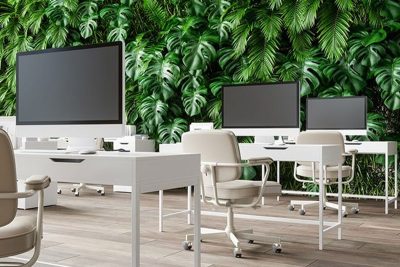 What Is Biophilic Office Design?