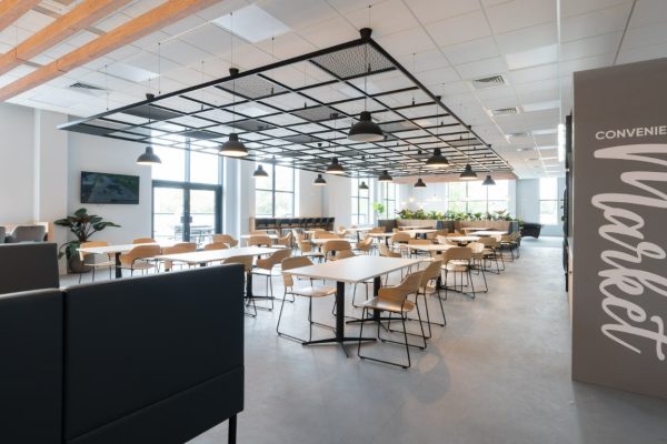 Parvalux office renovation